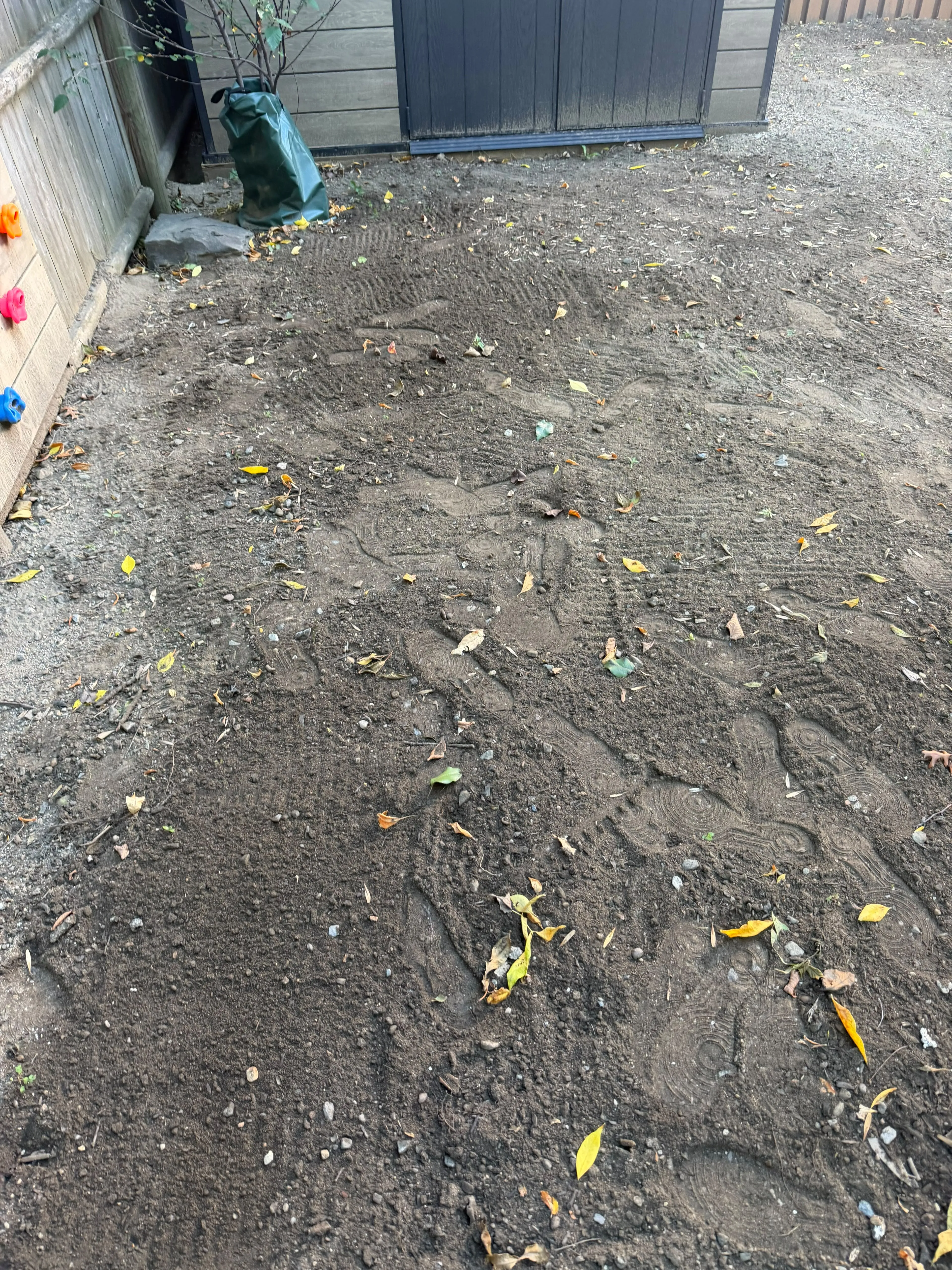 Graded and raked backyard soil prepared for a new sod lawn in Massachusetts