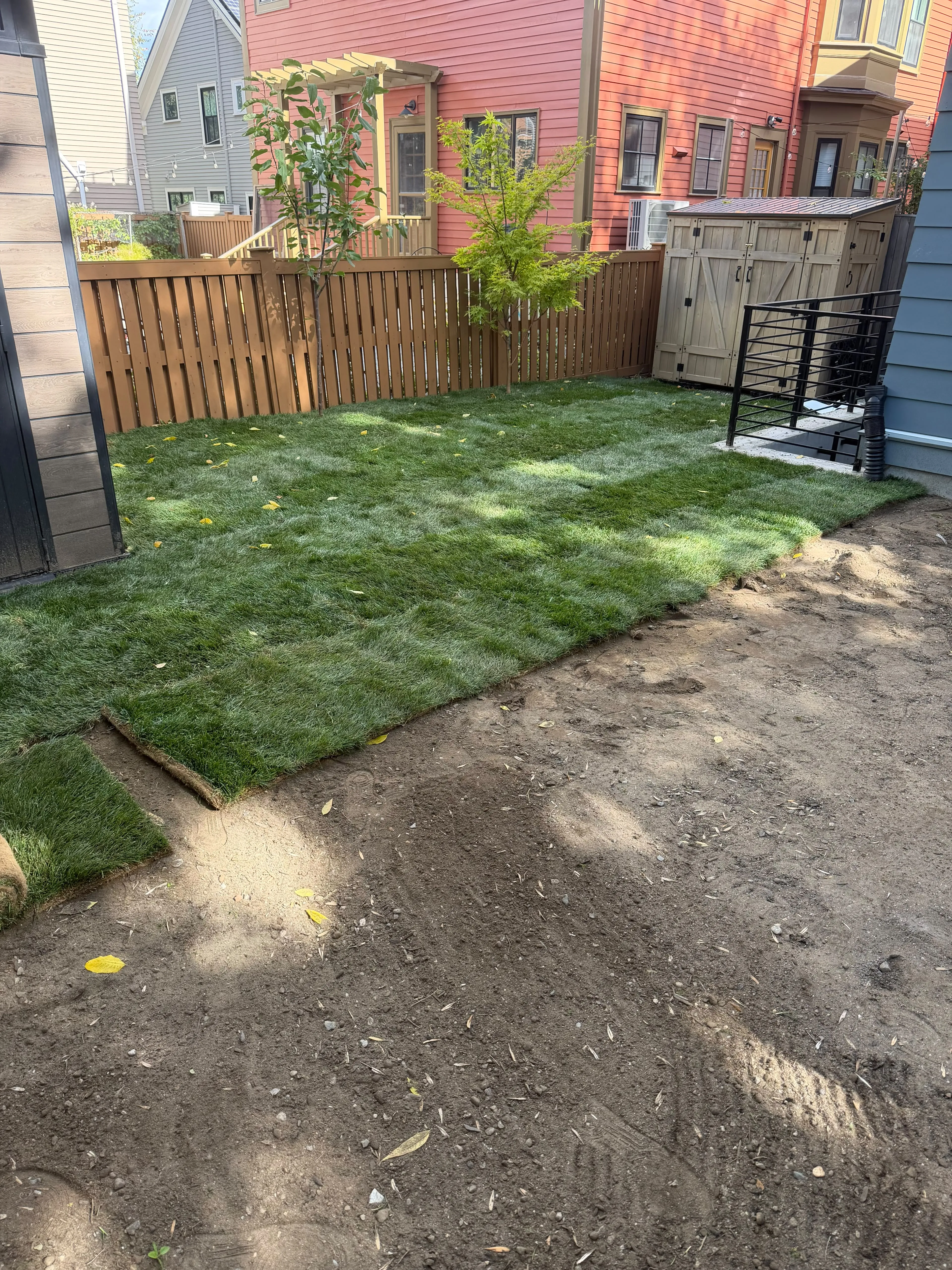 Sod being laid over prepared soil in a fenced backyard in Massachusetts