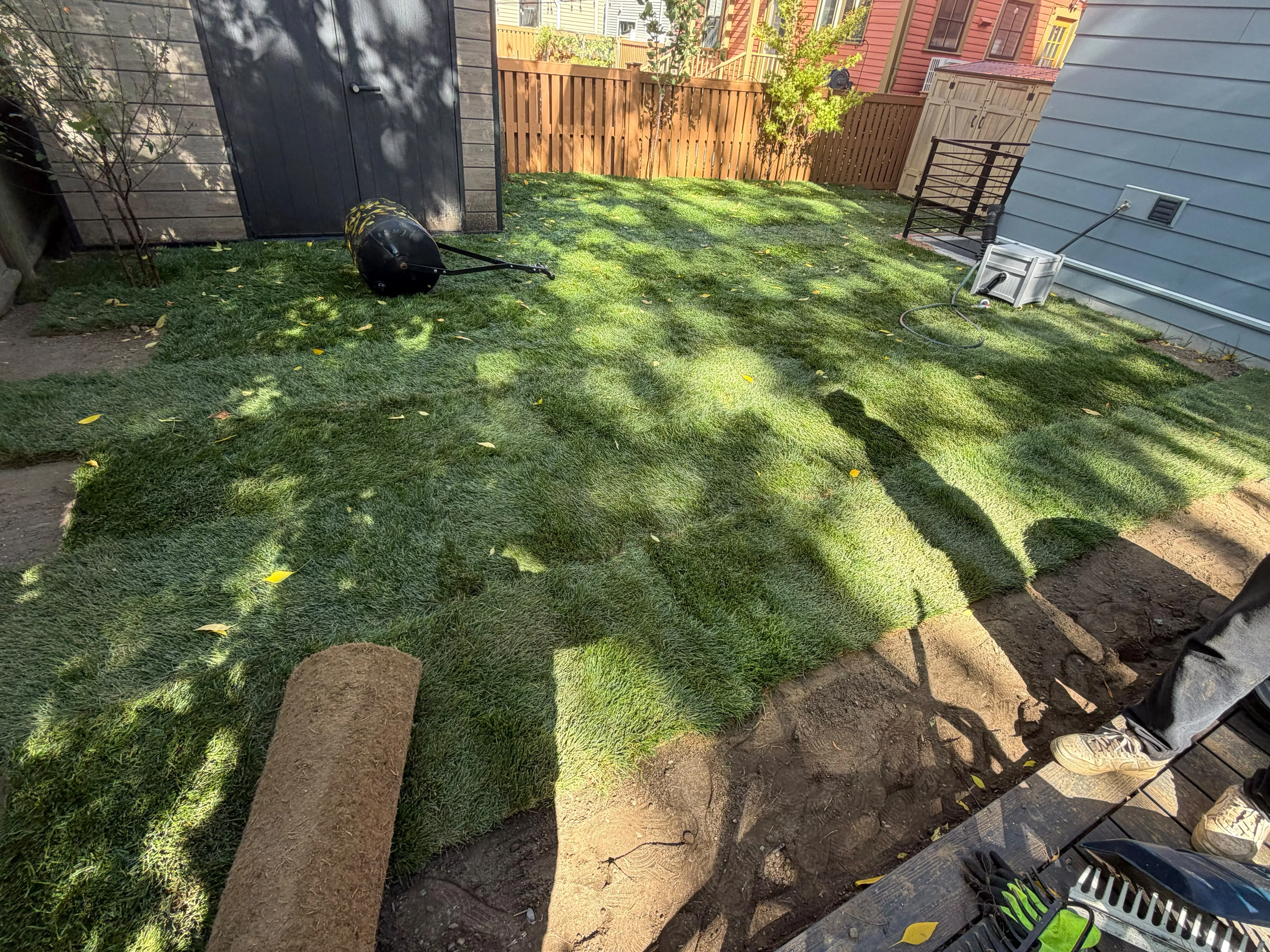 The same backyard with new sod laid and rolled in Massachusetts