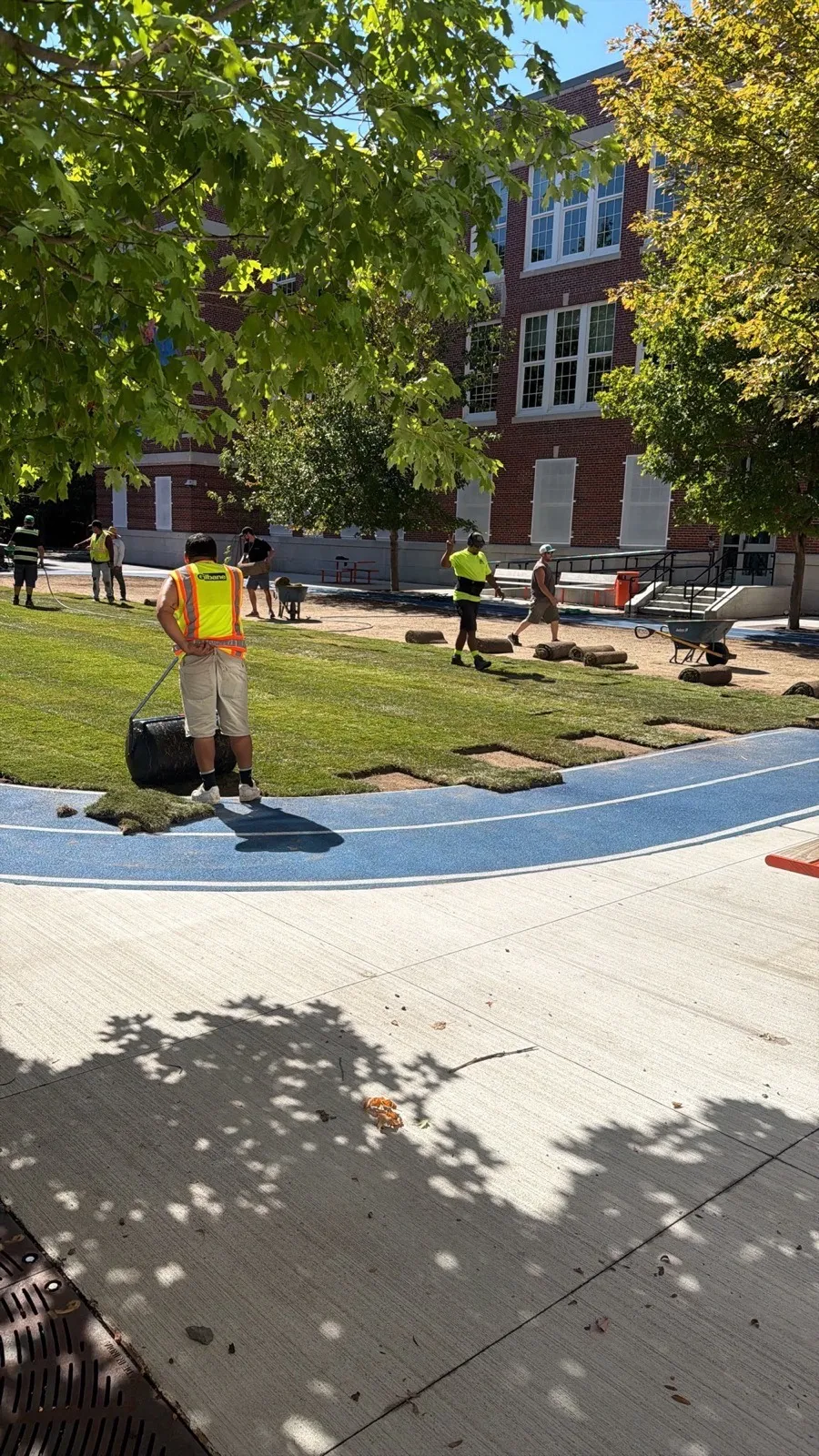 Rolling a newly laid sod lawn in Boston, MA