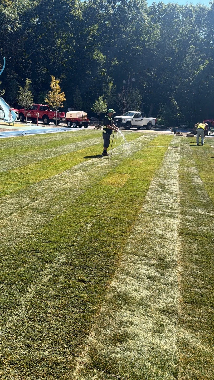 Watering a freshly installed sod lawn in Boston, MA